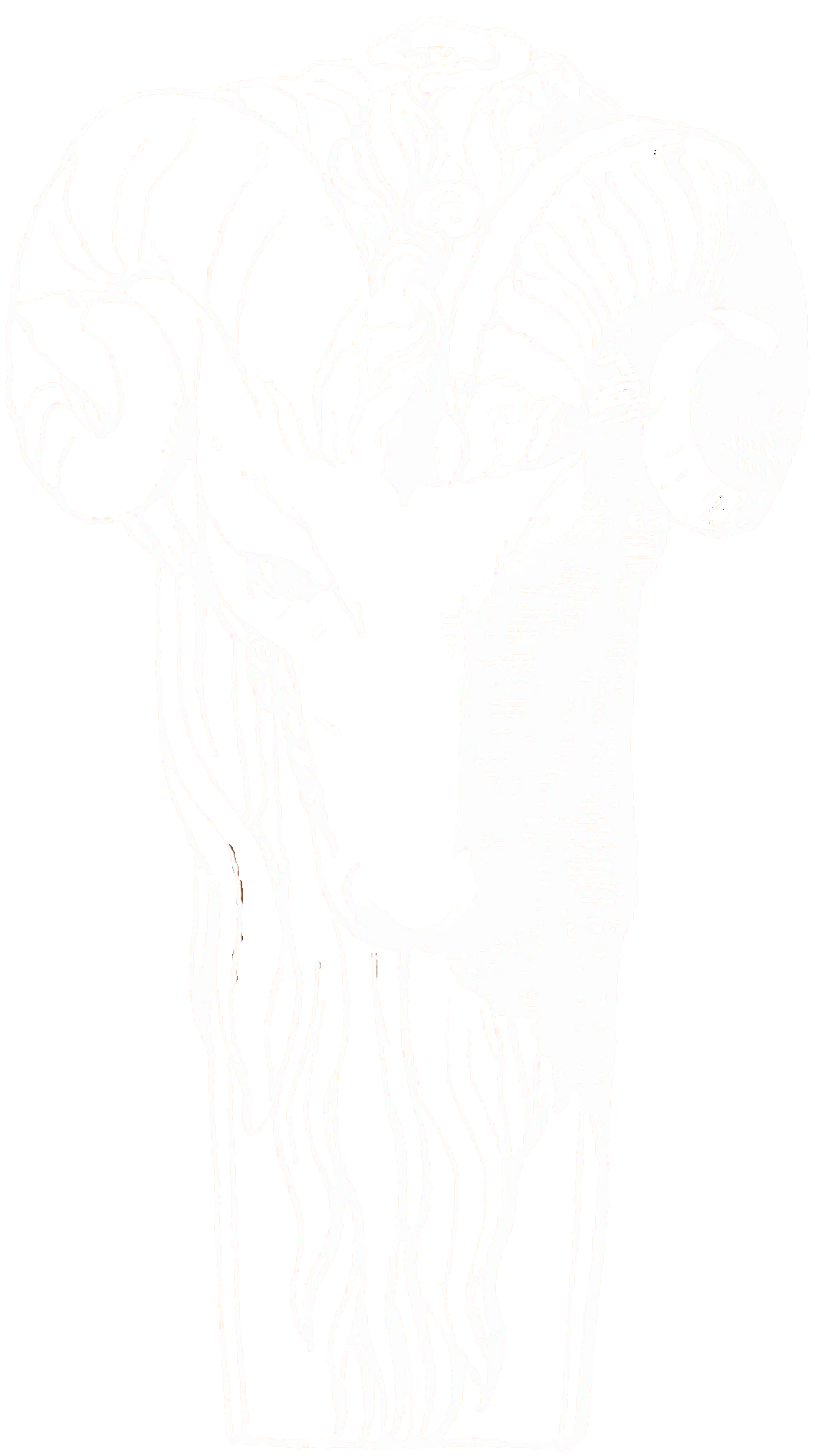 An engraved ram